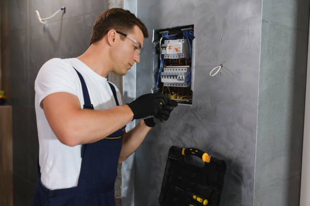 Best Local Electrician Companies  in Ceresco, NE