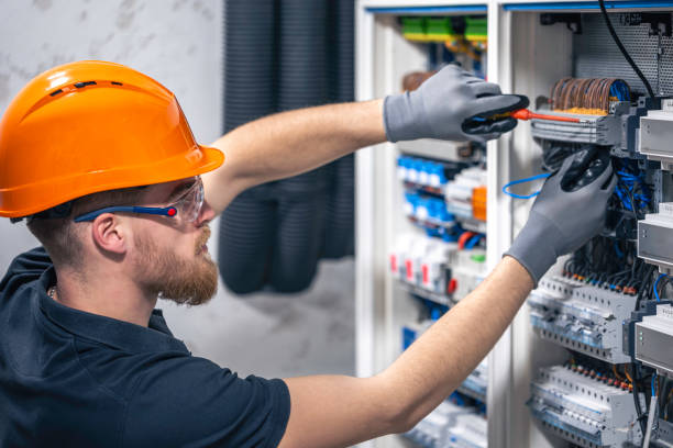 Best Electric Panel Repair  in Ceresco, NE